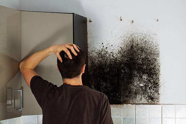 Best Emergency Mold Removal  in Hickory, NC